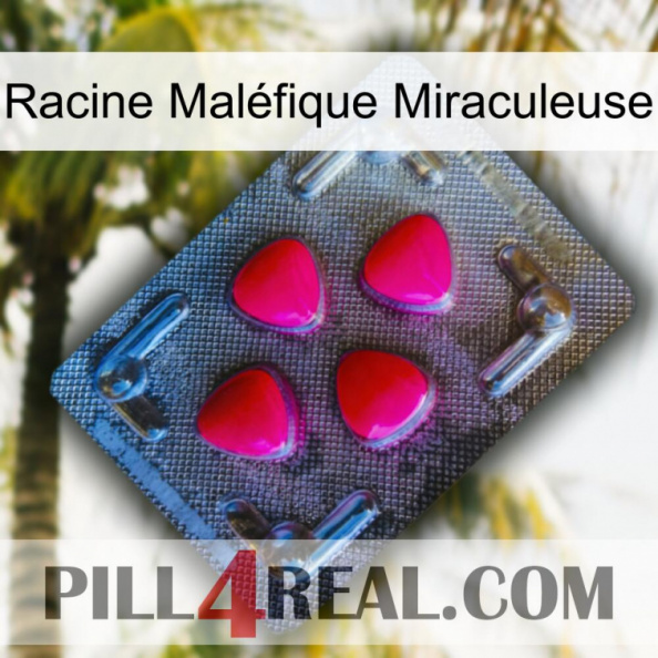 Racine Maléfique Miraculeuse 13